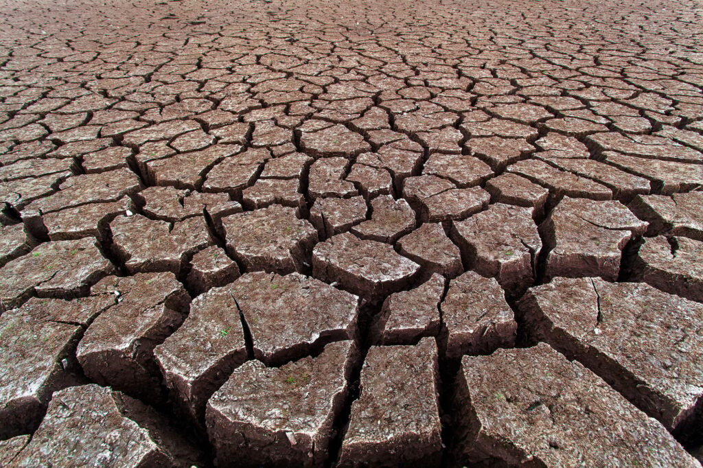 Cracked dry land without water.Abstract background.