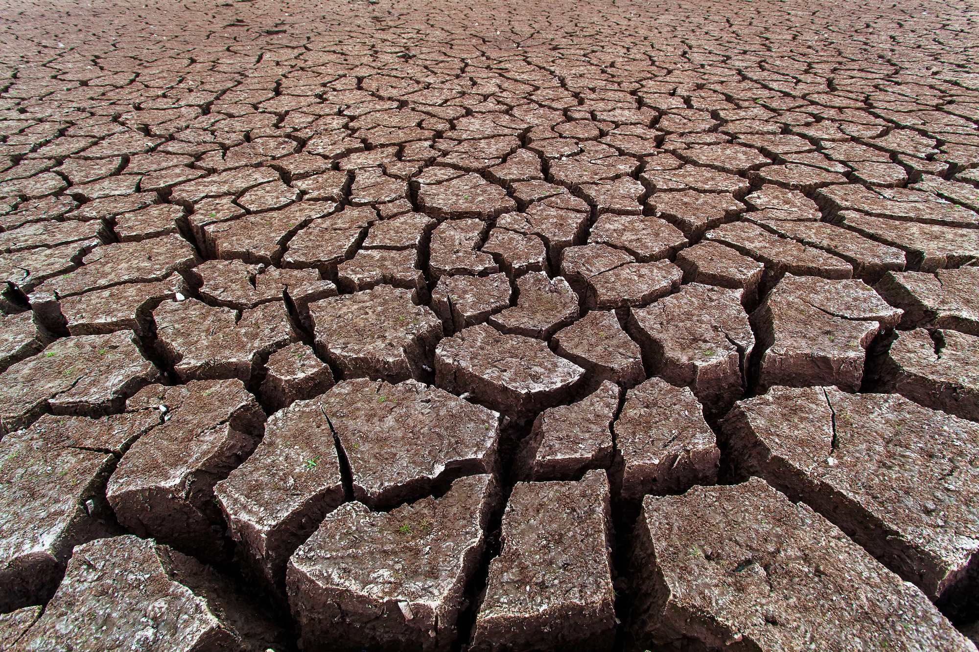 Cracked dry land without water.Abstract background.