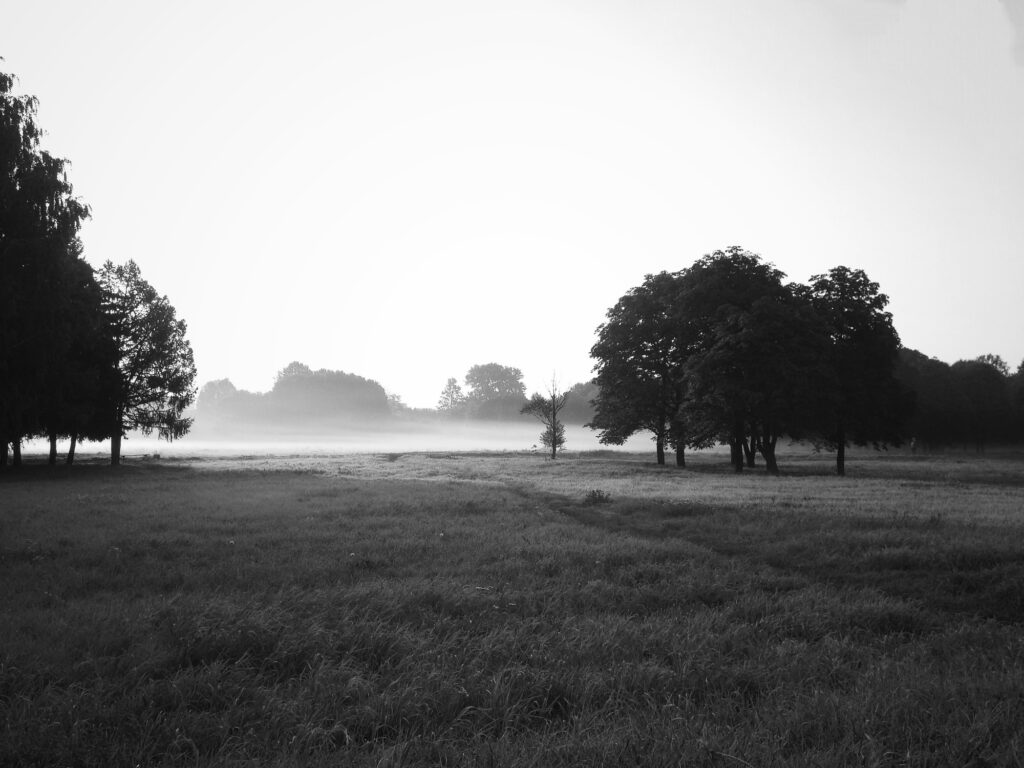 Silence